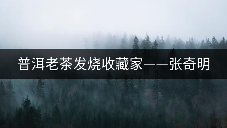 普洱老茶發燒收藏家——張奇明