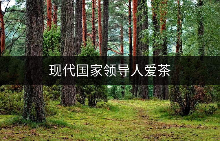 現代國家領導人愛茶