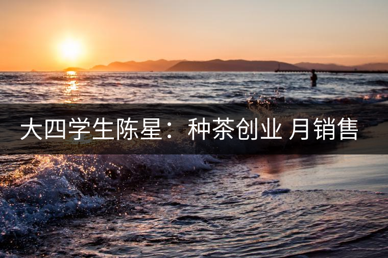 大四學(xué)生陳星:種茶創(chuàng)業(yè) 月銷售額超五十萬(wàn) 大四學(xué)生陳星:種茶創(chuàng)業(yè) 月銷售額超五十萬(wàn)