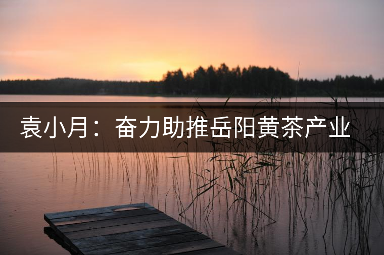 袁小月：奮力助推岳陽黃茶產業發展