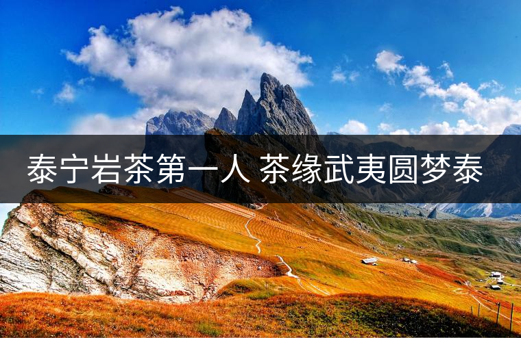 泰寧巖茶第一人 茶緣武夷圓夢泰寧 泰寧巖茶第一人 茶緣武夷圓夢泰寧