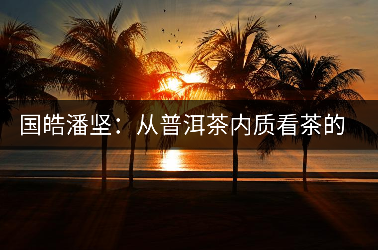 國皓潘堅:從普洱茶內質看茶的好壞 國皓潘堅:從普洱茶內質看茶的好壞
