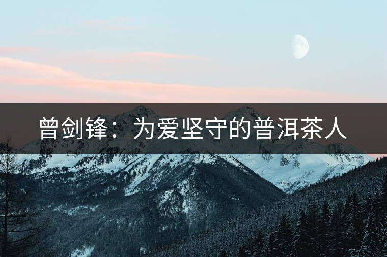 曾劍鋒:為愛堅守的普洱茶人 曾劍鋒:為愛堅守的普洱茶人
