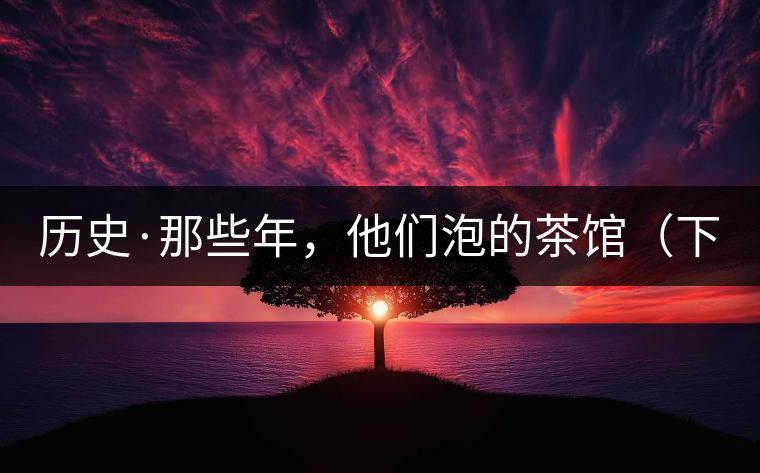 歷史·那些年,他們泡的茶館(下) 歷史·那些年,他們泡的茶館(下)