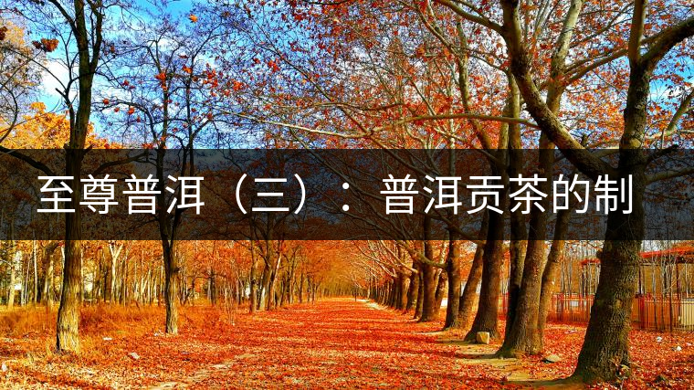 至尊普洱(三):普洱貢茶的制度 至尊普洱(三):普洱貢茶的制度