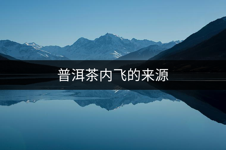 普洱茶內飛的來源