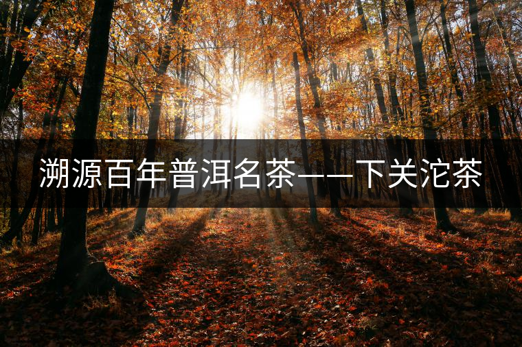 溯源百年普洱名茶——下關沱茶