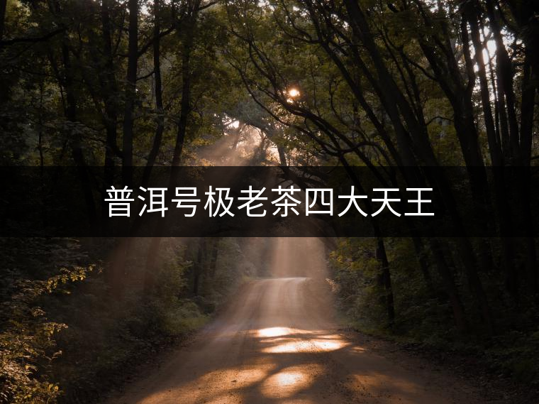 普洱號極老茶四大天王