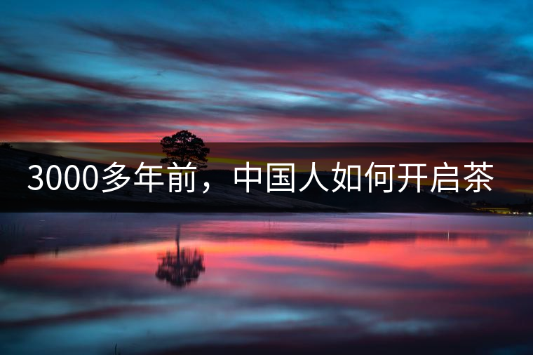 3000多年前，中國人如何開啟茶生活？