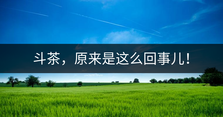 斗茶，原來是這么回事兒！