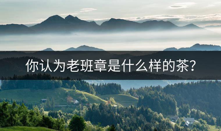 你認為老班章是什么樣的茶? 你認為老班章是什么樣的茶?