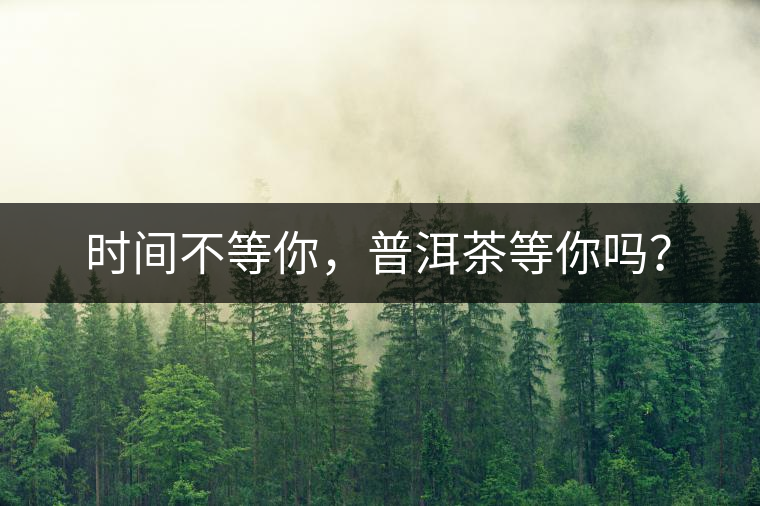 時間不等你，普洱茶等你嗎？