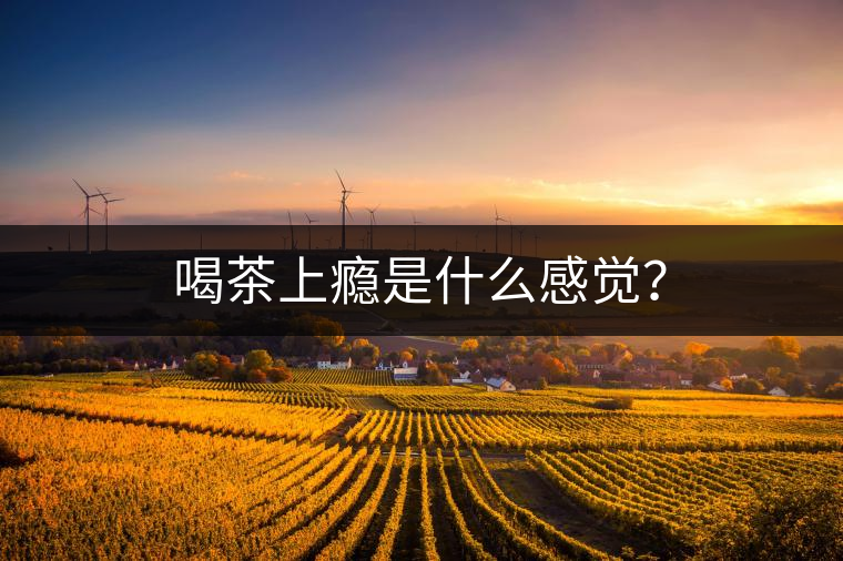 喝茶上癮是什么感覺? 喝茶上癮是什么感覺?