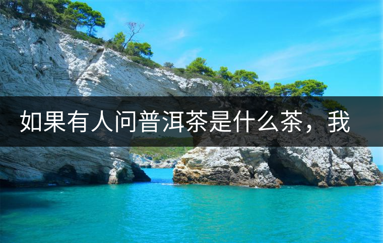 如果有人問普洱茶是什么茶,我就請他看這個段子 如果有人問普洱茶是什么茶,我就請他看這個段子