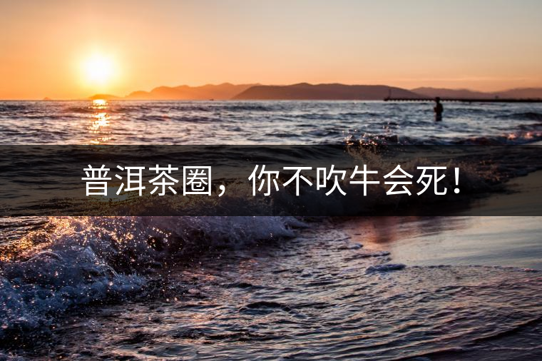 普洱茶圈,你不吹牛會死! 普洱茶圈,你不吹牛會死!