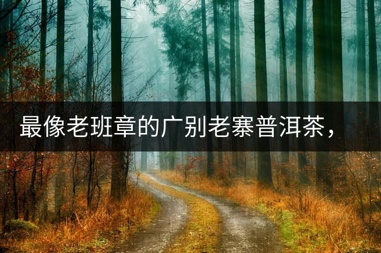 最像老班章的廣別老寨普洱茶,卻是冰島派來的臥底 最像老班章的廣別老寨普洱茶,卻是冰島派來的臥底