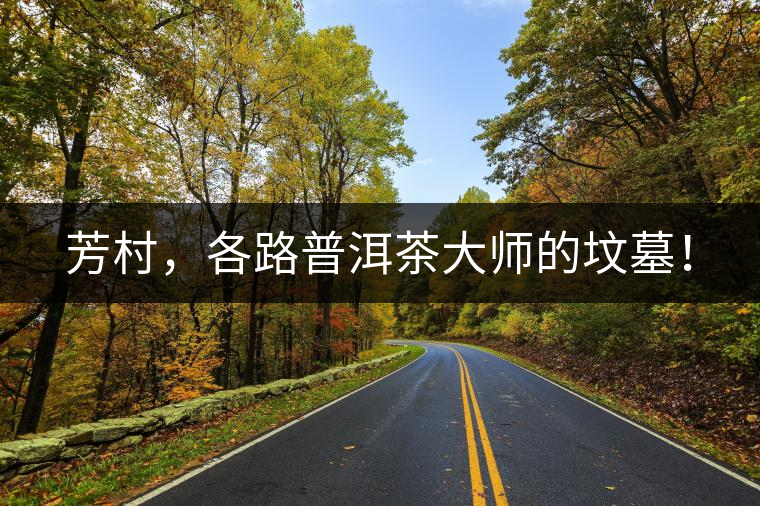 芳村,各路普洱茶大師的墳墓! 芳村,各路普洱茶大師的墳墓!
