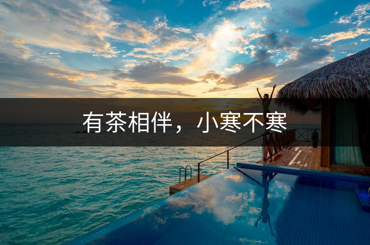 有茶相伴,小寒不寒 有茶相伴,小寒不寒