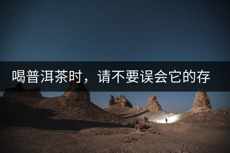 喝普洱茶時,請不要誤會它的存在 喝普洱茶時,請不要誤會它的存在