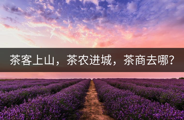 茶客上山，茶農進城，茶商去哪？