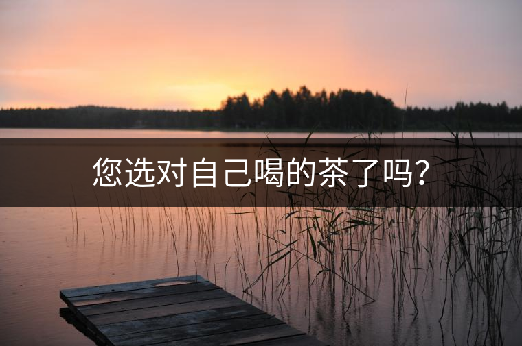 您選對自己喝的茶了嗎? 您選對自己喝的茶了嗎?