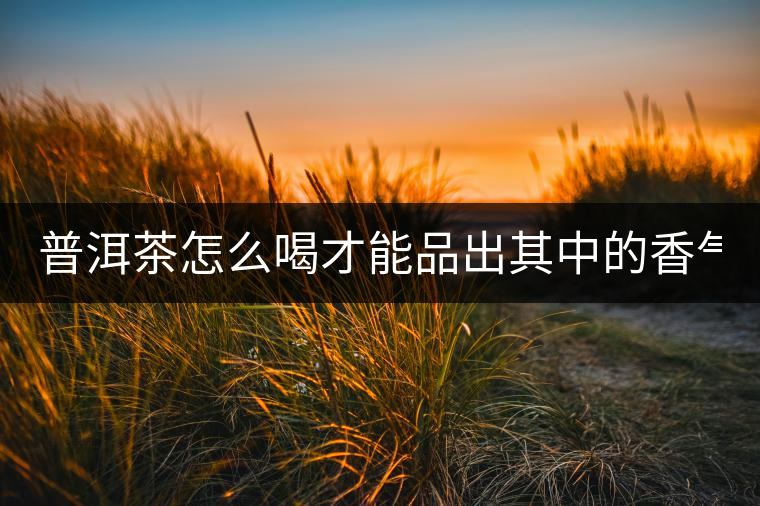 普洱茶怎么喝才能品出其中的香氣? 普洱茶怎么喝才能品出其中的香氣?