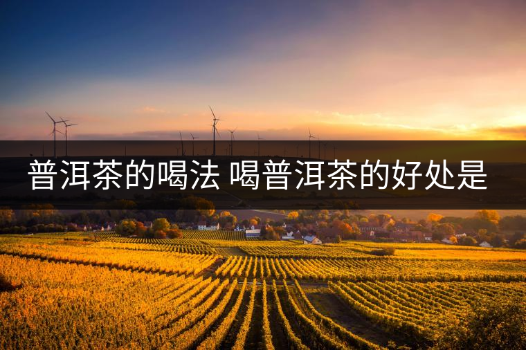 普洱茶的喝法 喝普洱茶的好處是什么？
