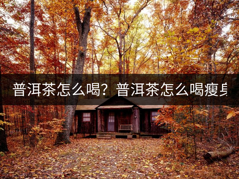 普洱茶怎么喝?普洱茶怎么喝瘦身? 普洱茶怎么喝?普洱茶怎么喝瘦身?