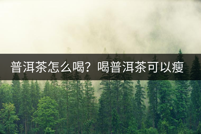 普洱茶怎么喝?喝普洱茶可以瘦腹嗎? 普洱茶怎么喝?喝普洱茶可以瘦腹嗎?