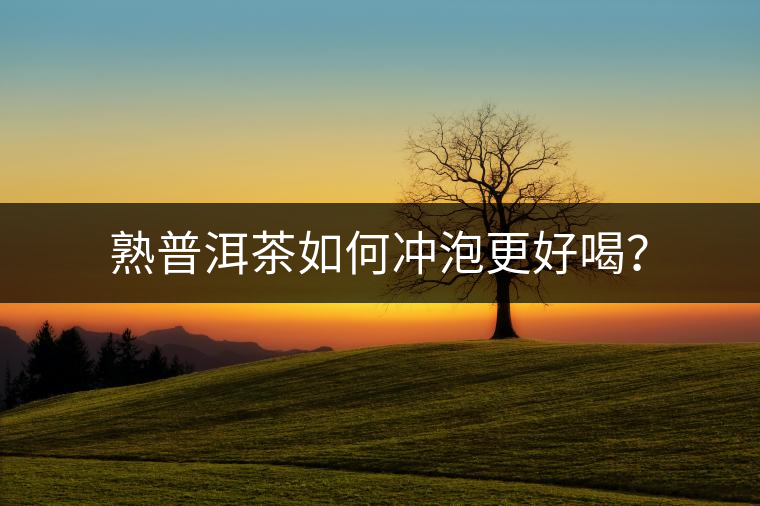 熟普洱茶如何沖泡更好喝？