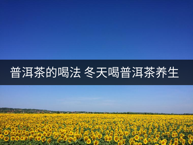 普洱茶的喝法 冬天喝普洱茶養生茶是一種不錯的選擇 普洱茶的喝法 冬天喝普洱茶養生茶是一種不錯的選擇