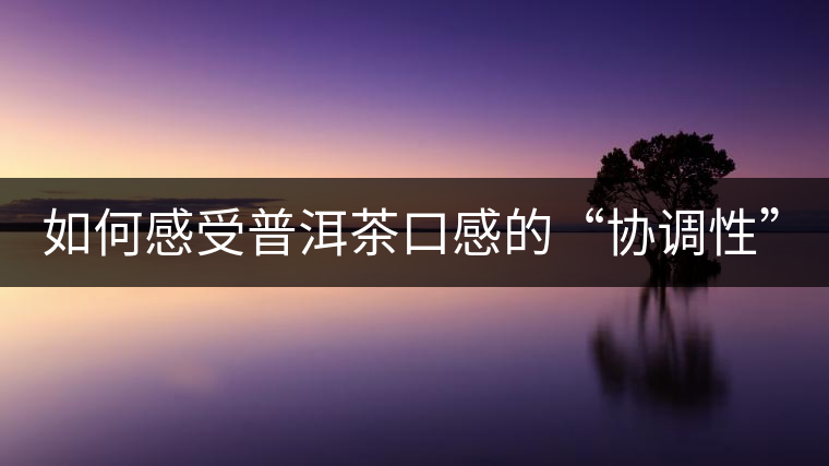 如何感受普洱茶口感的“協調性”? 如何感受普洱茶口感的“協調性”?