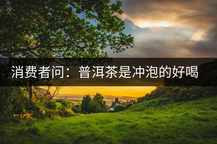 消費者問:普洱茶是沖泡的好喝?還是煮著喝好? 消費者問:普洱茶是沖泡的好喝?還是煮著喝好?