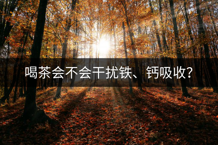 喝茶會(huì)不會(huì)干擾鐵、鈣吸收？