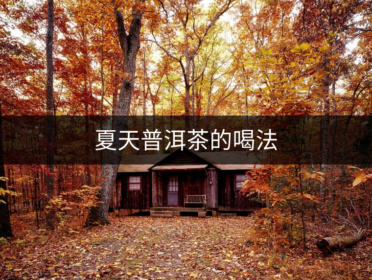 夏天普洱茶的喝法 夏天普洱茶的喝法