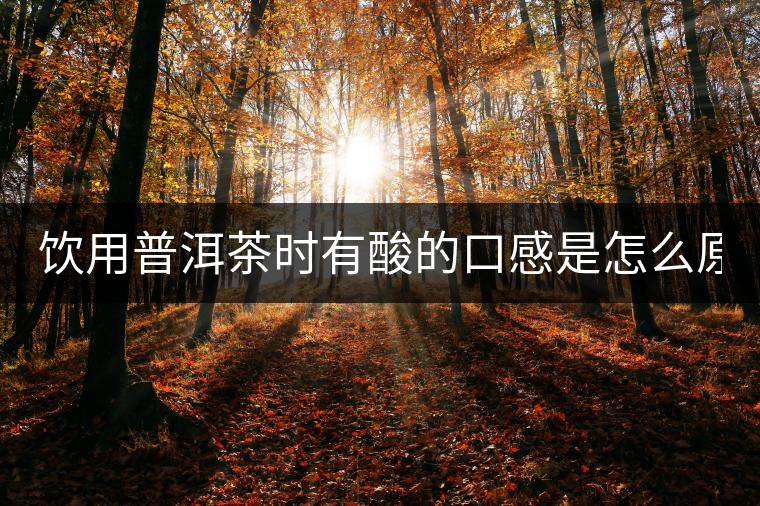 飲用普洱茶時有酸的口感是怎么原因? 飲用普洱茶時有酸的口感是怎么原因?