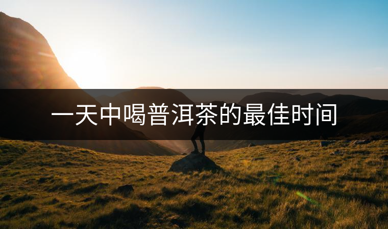 一天中喝普洱茶的最佳時間 一天中喝普洱茶的最佳時間