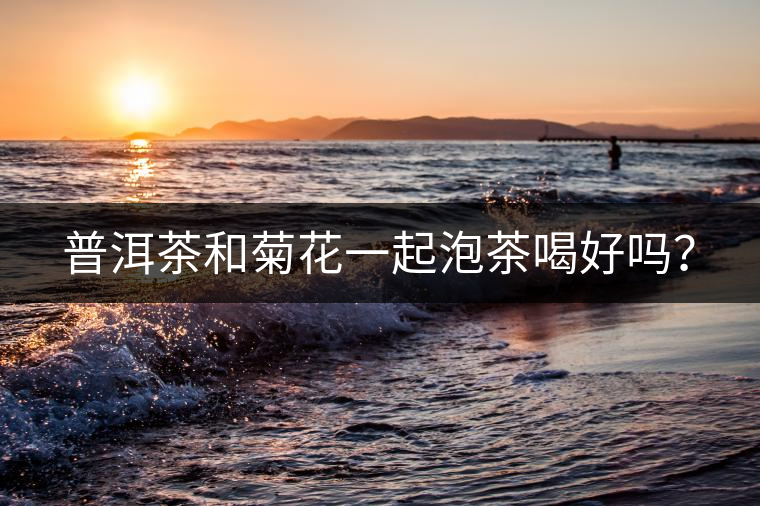 普洱茶和菊花一起泡茶喝好嗎? 普洱茶和菊花一起泡茶喝好嗎?