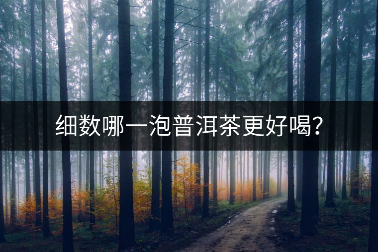 細數哪一泡普洱茶更好喝? 細數哪一泡普洱茶更好喝?