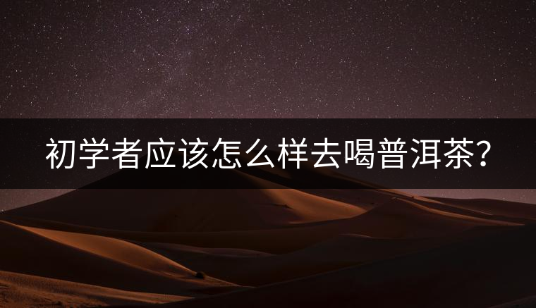 初學(xué)者應(yīng)該怎么樣去喝普洱茶? 初學(xué)者應(yīng)該怎么樣去喝普洱茶?