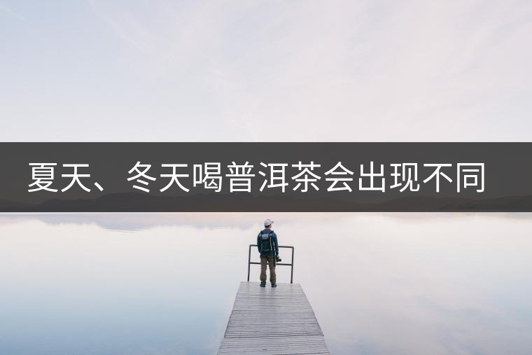 夏天、冬天喝普洱茶會出現不同的口感