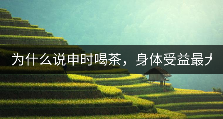 為什么說申時喝茶,身體受益最大? 為什么說申時喝茶,身體受益最大?