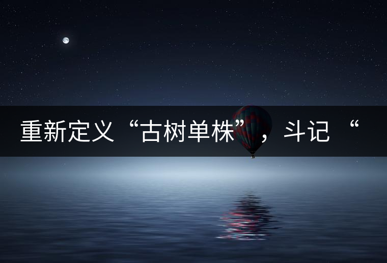 重新定義“古樹單株”，斗記 “超級審評”有償招募告罄在即！