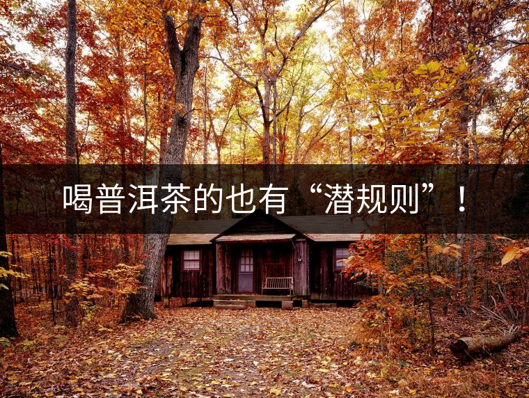 喝普洱茶的也有“潛規則”！
