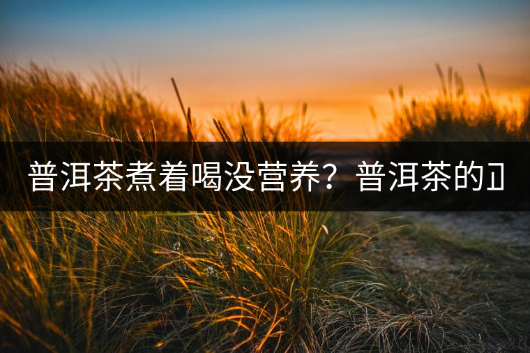 普洱茶煮著喝沒營養？普洱茶的正確煮法！