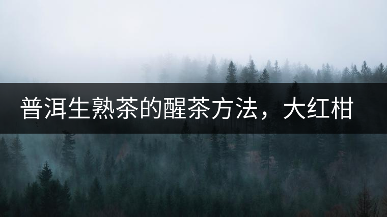 普洱生熟茶的醒茶方法，大紅柑與小青柑對比