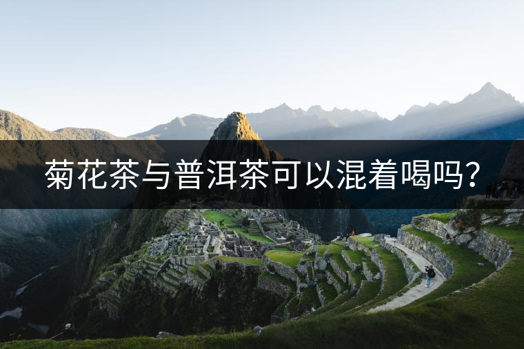 菊花茶與普洱茶可以混著喝嗎? 菊花茶與普洱茶可以混著喝嗎?