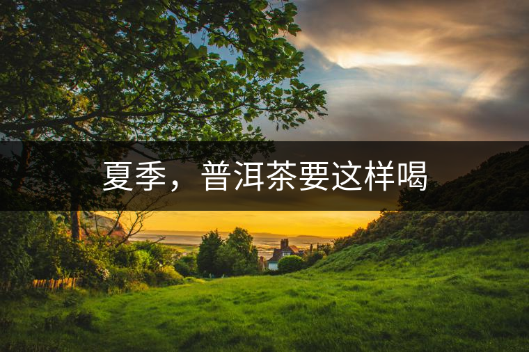 夏季,普洱茶要這樣喝 夏季,普洱茶要這樣喝