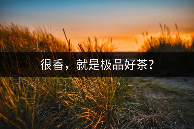 很香,就是極品好茶? 很香,就是極品好茶?