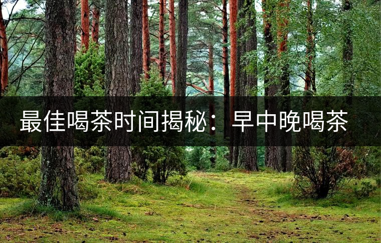 最佳喝茶時間揭秘:早中晚喝茶指南 最佳喝茶時間揭秘:早中晚喝茶指南